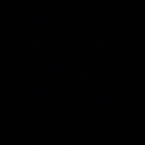 Meet your Posher, Marcus